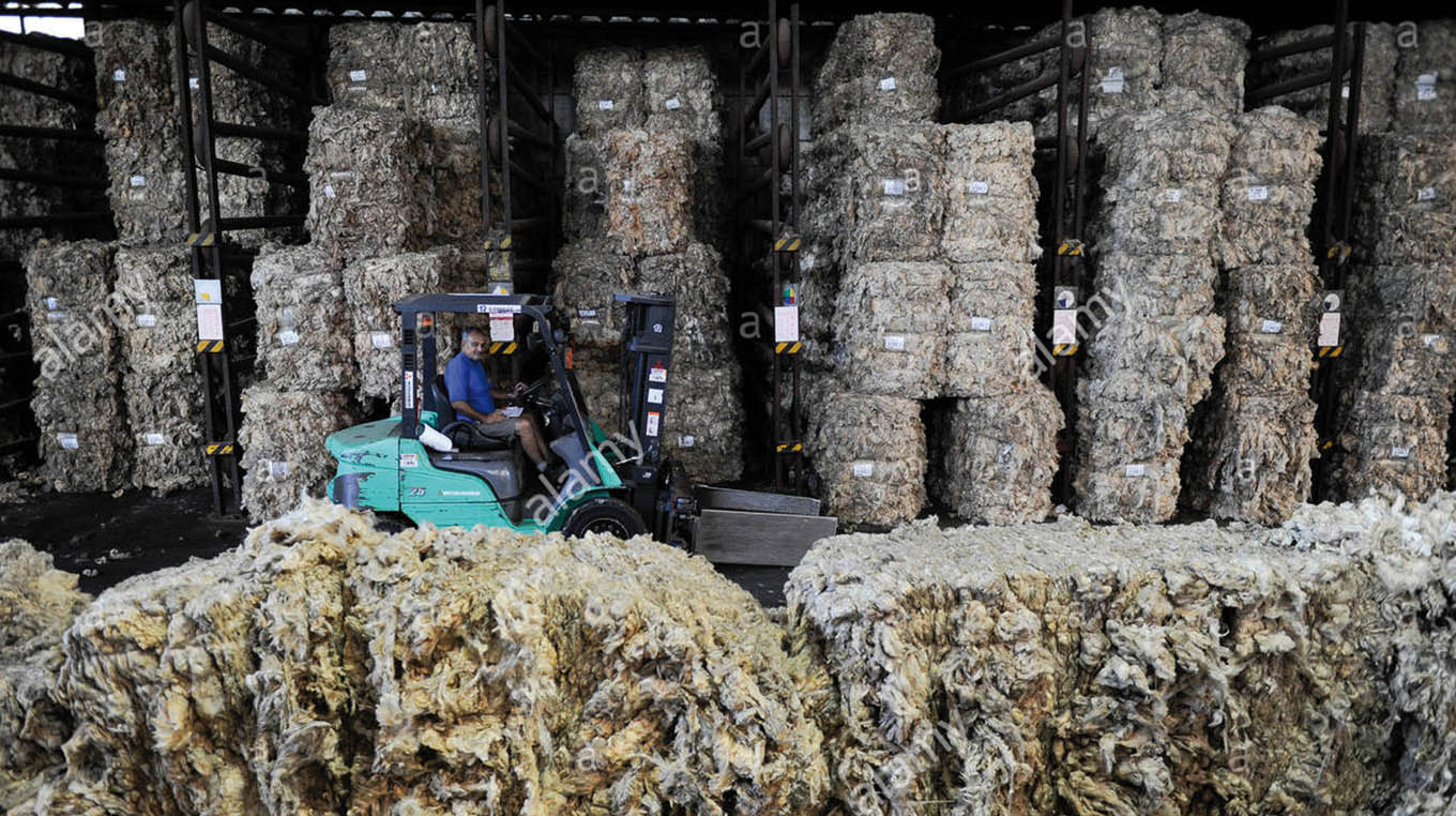 Continúa la escasa operativa en el mercado local de lanas