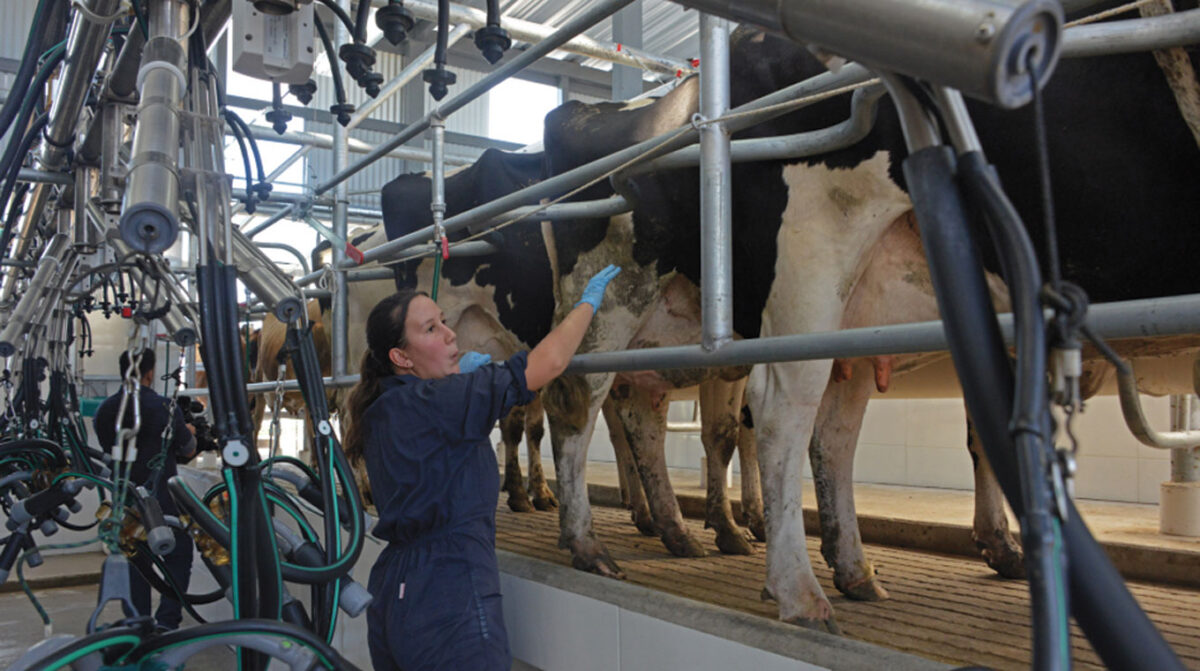 Brasil oficializó el archivo de la denuncia por importaciones de leche en polvo uruguaya