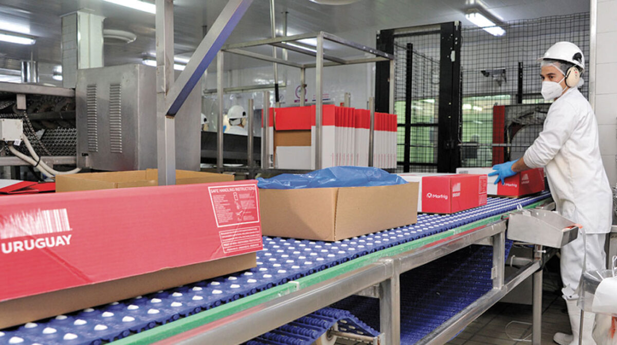 Rehabilitación de industrias frigoríficas para exportar carne vacuna a Rusia