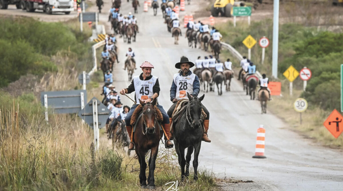 Criollos en la etapa final de la Marcha