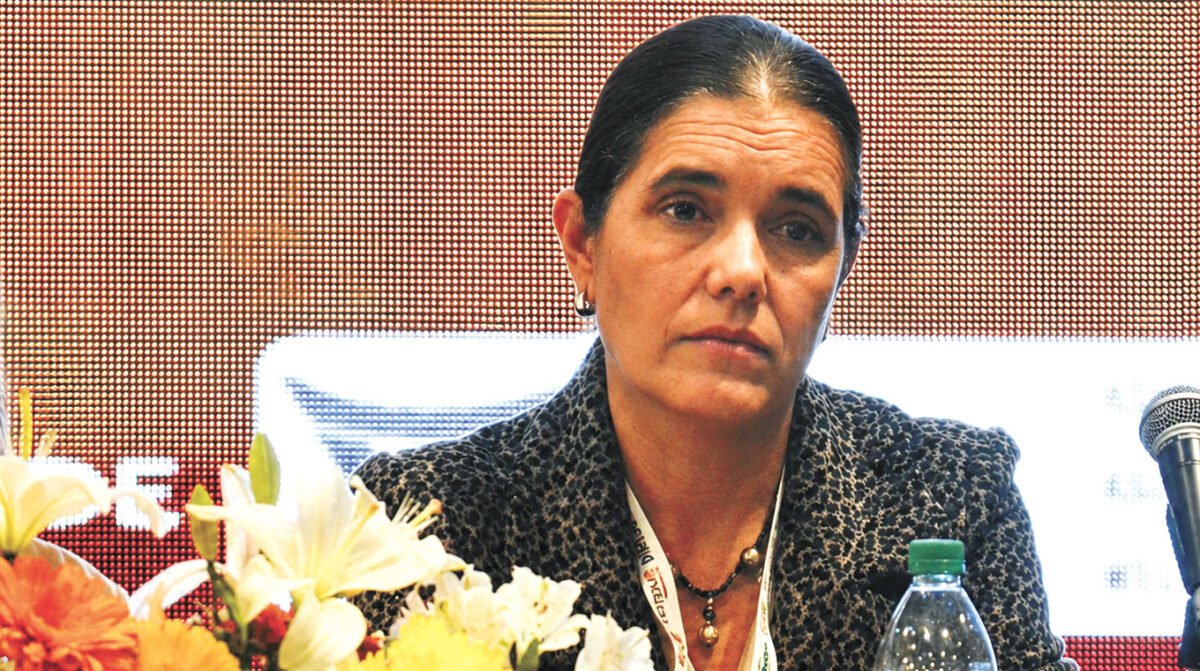 CMVP no ve rumbo claro en gestión del INBA y pide que se atienda el bienestar “de todas las especies”