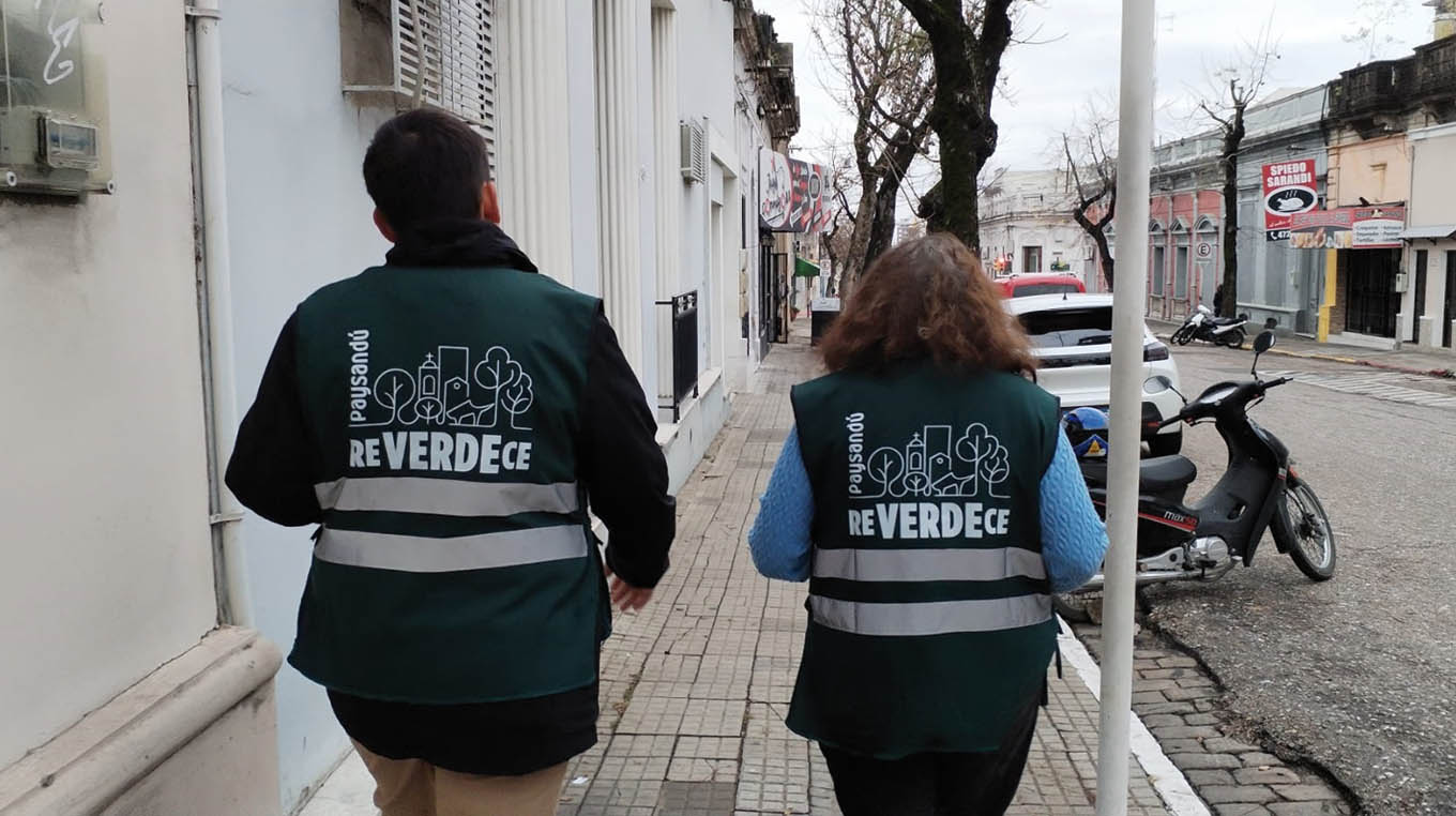 Se inició censo del arbolado público para planificar nuevas intervenciones urbanas