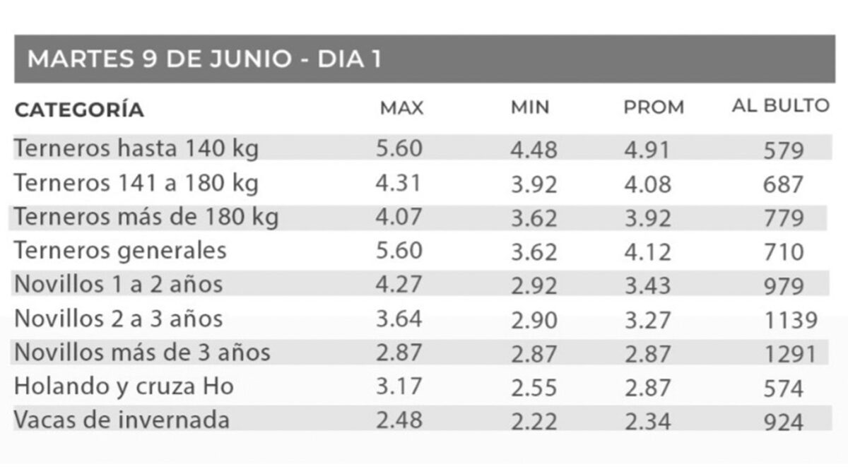 Colocación del 95,5% en la del 249º remate de Lote 21