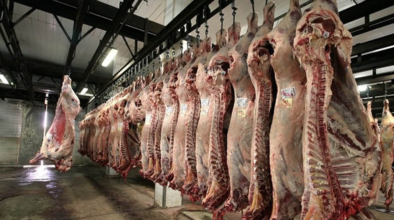 Mercado estable para el ganado gordo