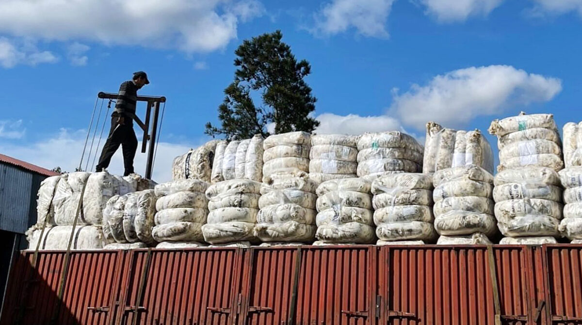Mercado lanero con escasos negocios y valores firmes