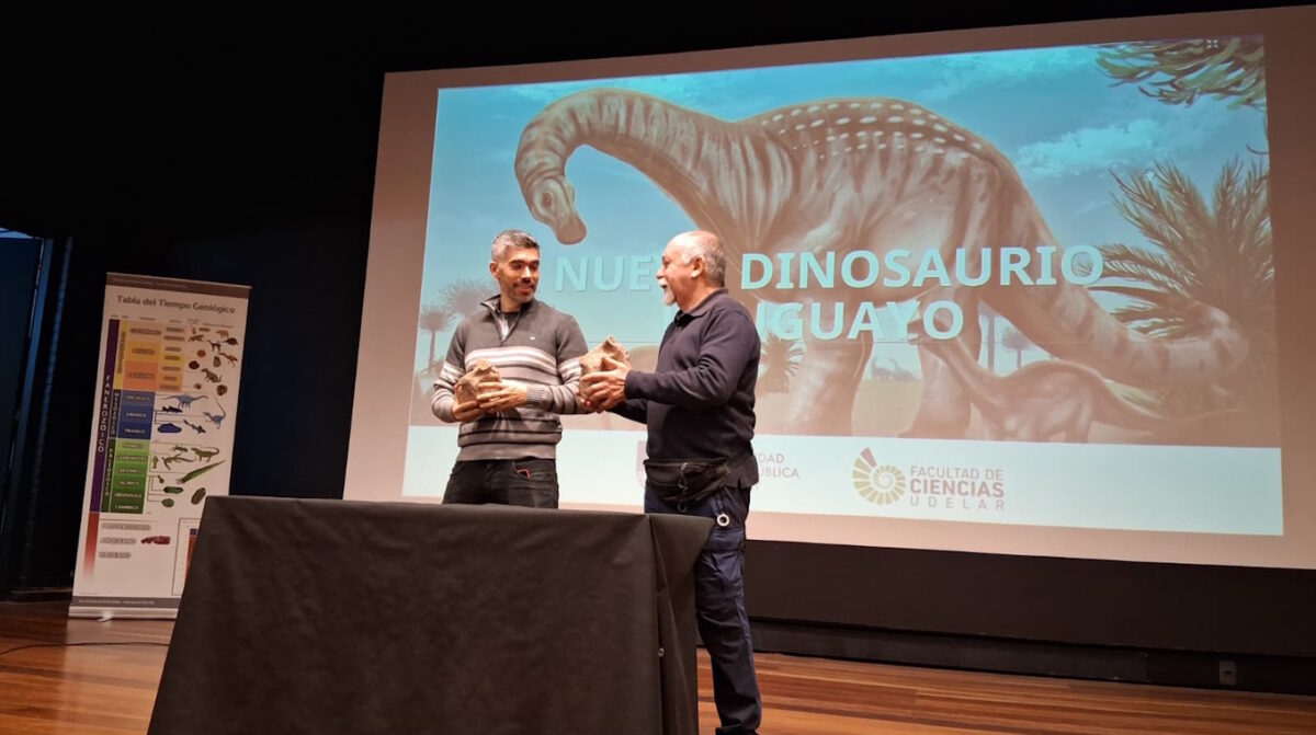 Identifican como nueva especie fósiles de un dinosaurio encontrado en Meseta de Artigas