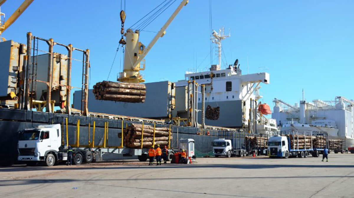 Preocupan paros en Puerto de Montevideo