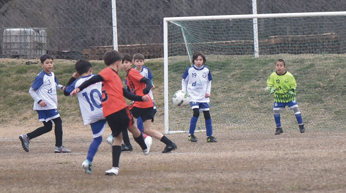 El fútbol infantil continúa con su actividad oficial