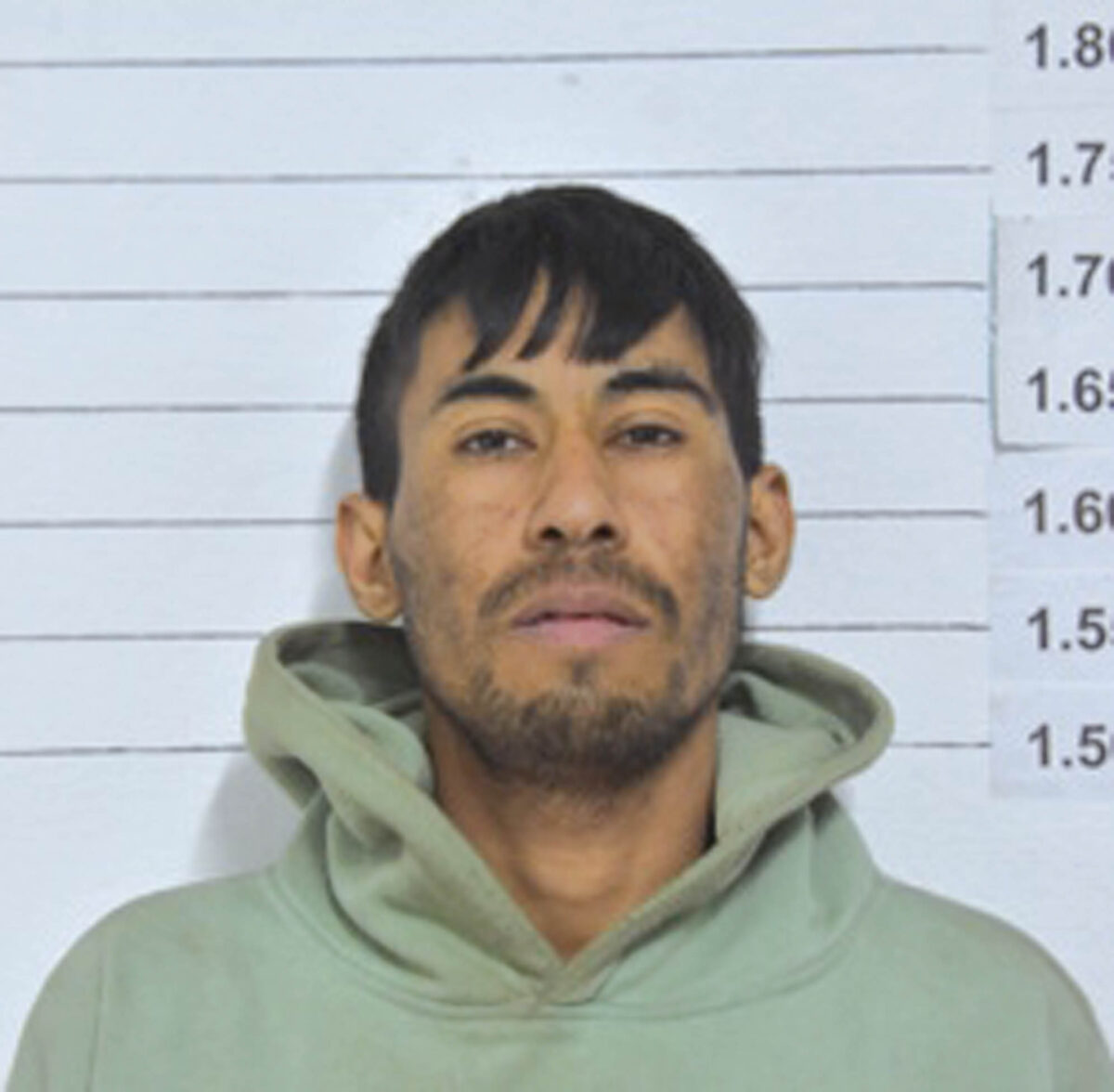 Condenaron a dos hombres que intentaron robar bolsas de leña de un comercio