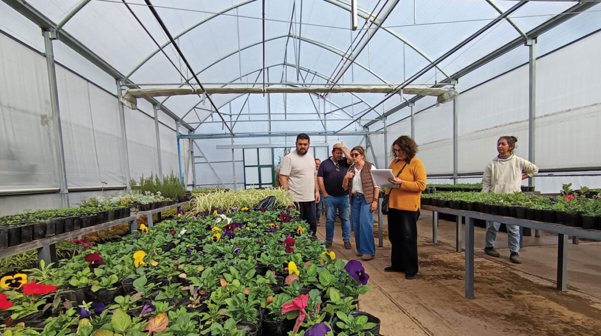 Recuperan Vivero Municipal para producir especies y poder estudiar su adaptación
