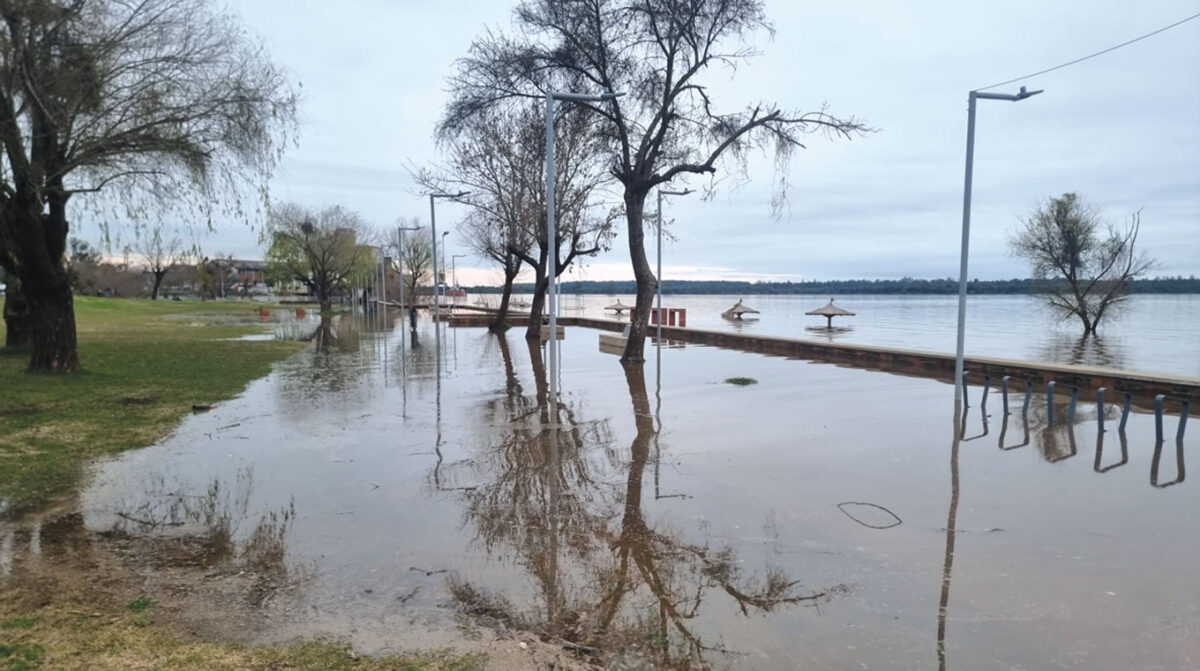 El río llegó a 4,86 metros en Paysandú