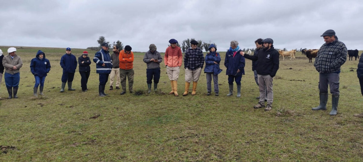 Presentaron resultados del proyecto de rehabilitación de campos naturales