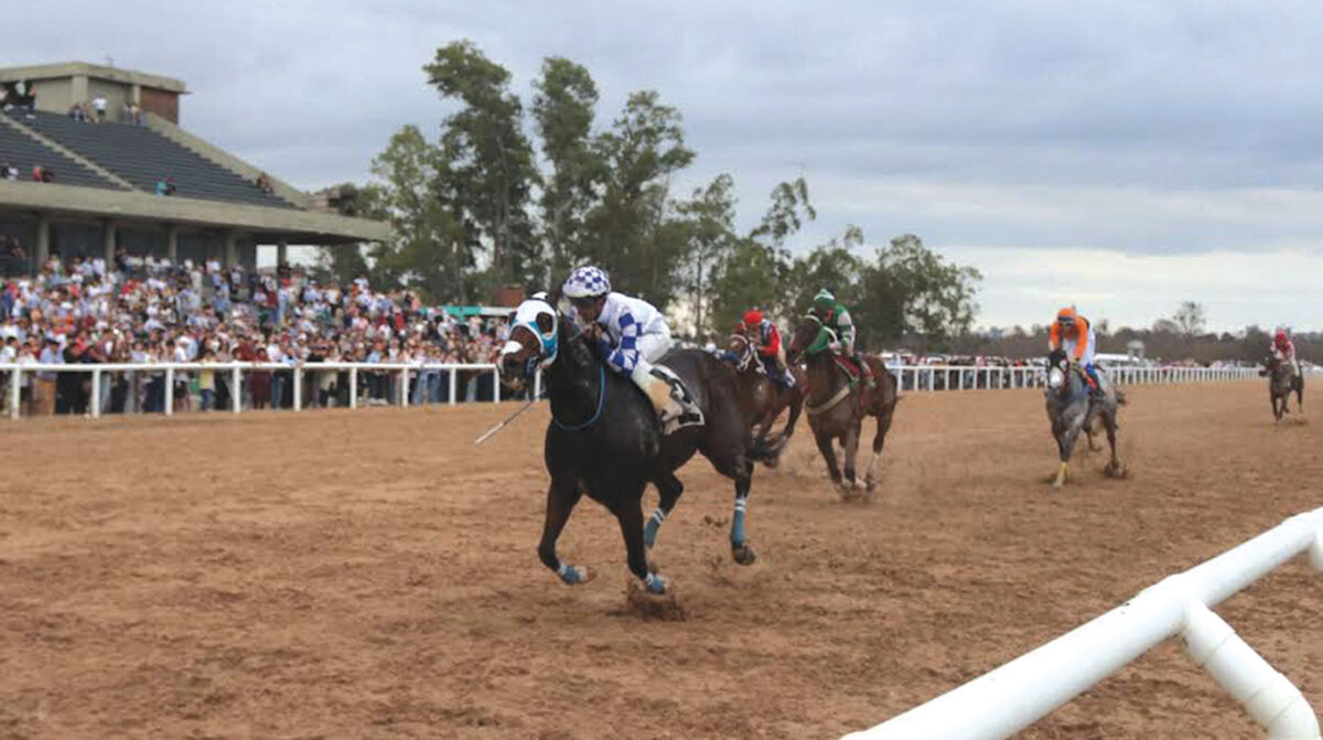 Décima reunión del año en el Hipódromo de San Félix