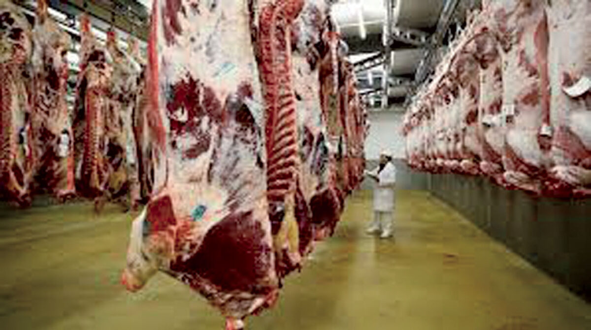 Suspenden a Frigorífico Tacuarembó por haber exportado carne con residuos médicos a China