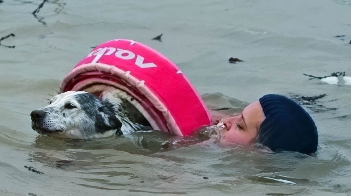 En plena creciente del río, un guardavidas rescató a “Manchita” y conmovió a Colón