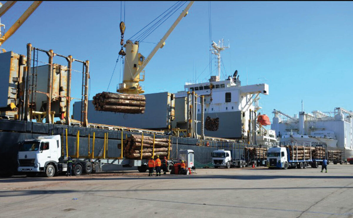 Gremiales preocupadas por conflicto en el puerto