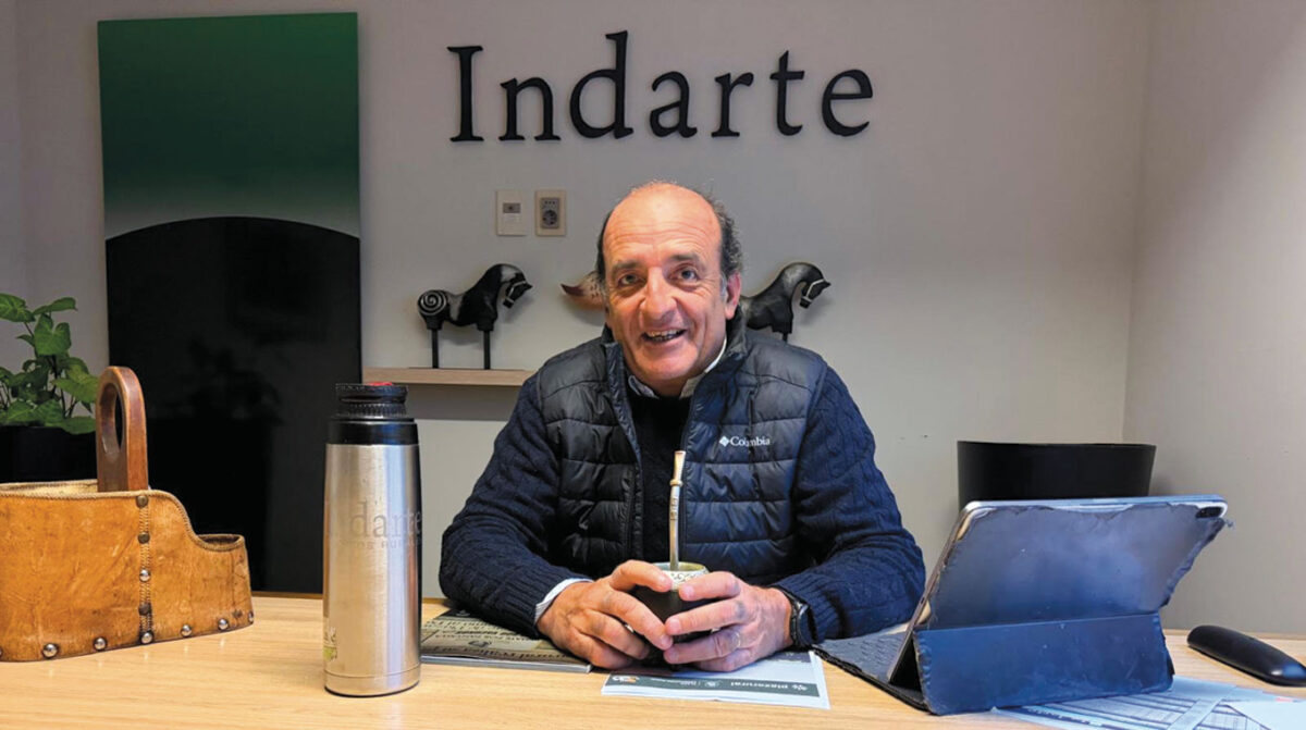 Indarte con muy destacada oferta en Plaza Rural