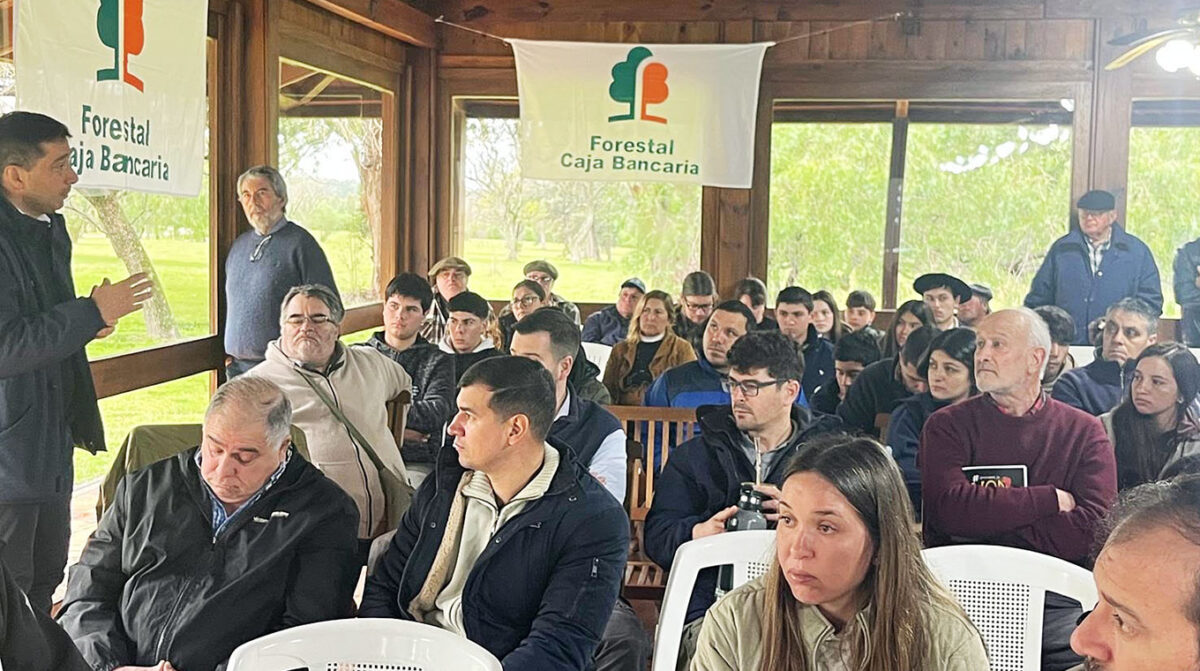 Residuos biológicos en carne e inocuidad de los alimentos, analizados en la 2ª jornada técnica
