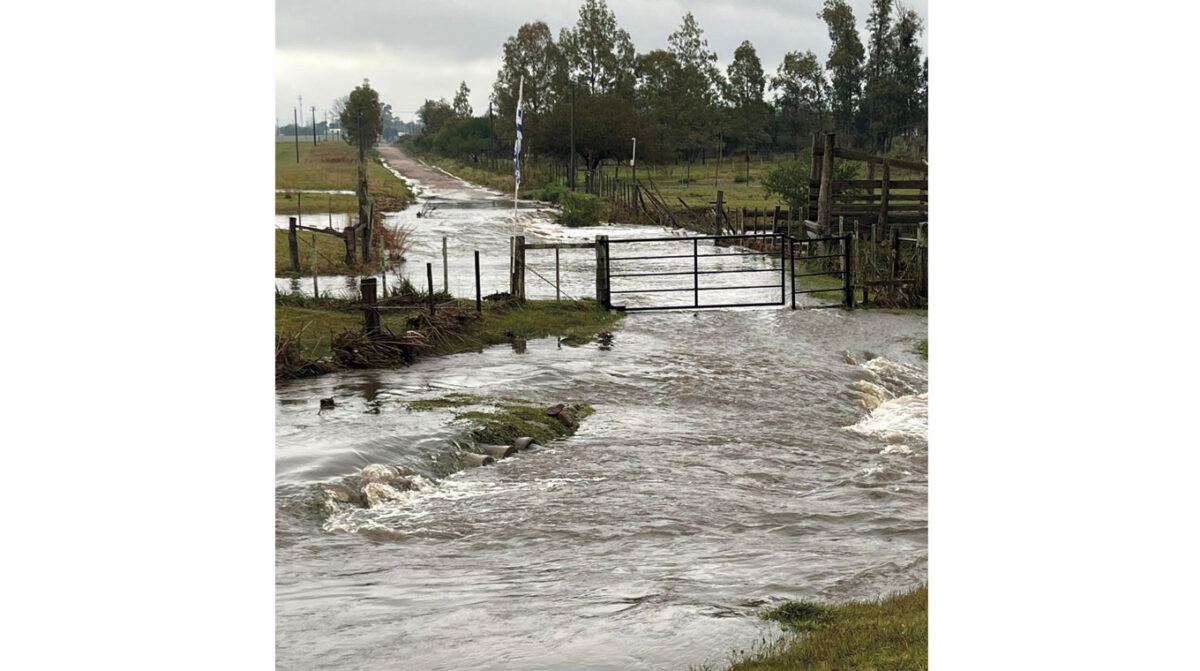 Guichón: 60 mm en media hora desbordaron cañadas, rutas y casas