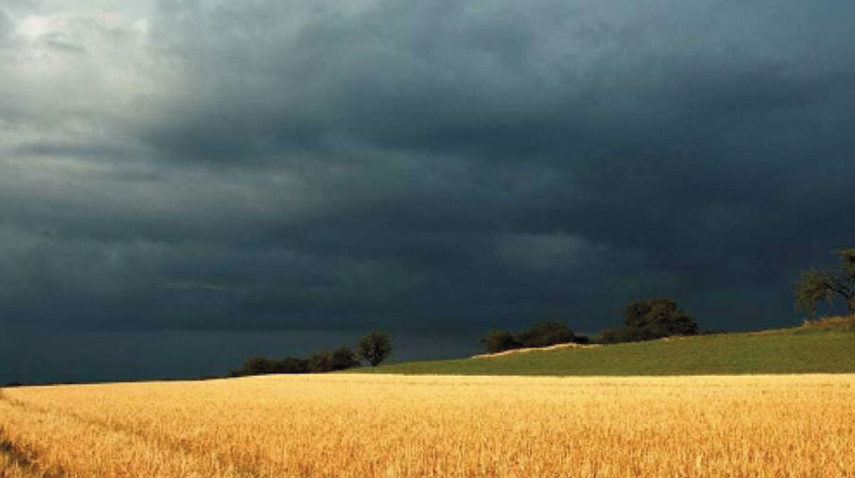 Experto argentino buscó llevar tranquilidad al agro ante evento de un “Niño muy fuerte”