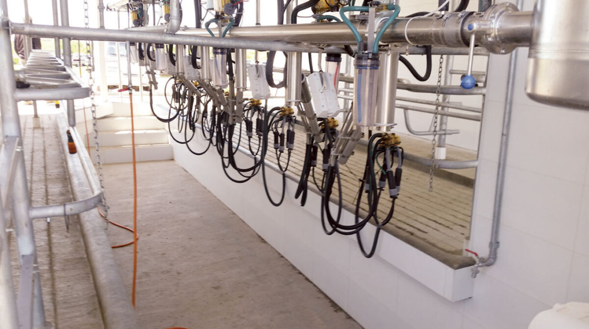 Remisión de leche a plantas se incrementa en un 11,6%