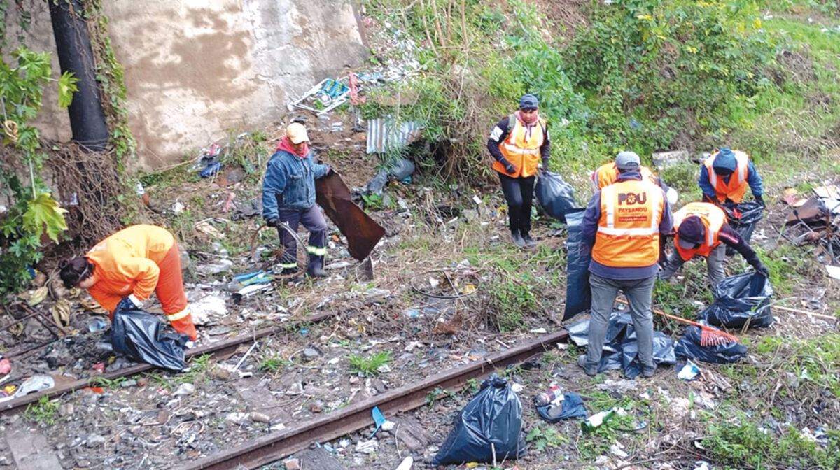 Intendencia realiza limpieza profunda bajo el puente de Diagonal Fortunatto