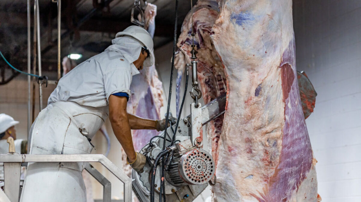 Carne bovina fue el principal producto exportado en julio