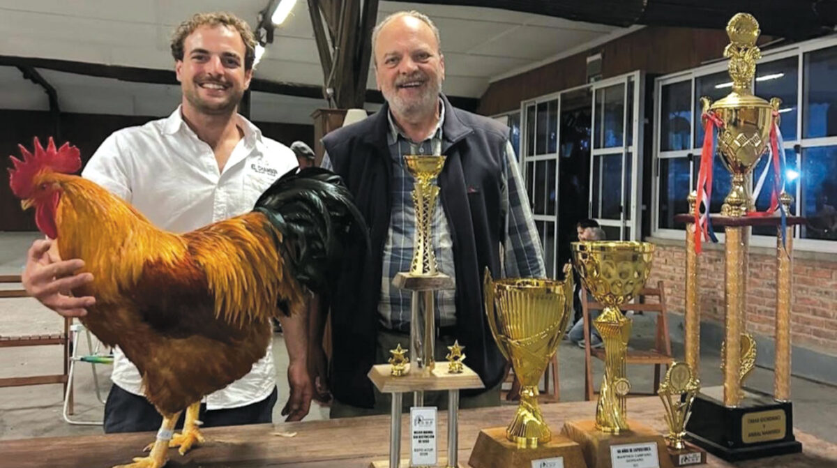 Grandes campeones de la Expo Avícola de Salto