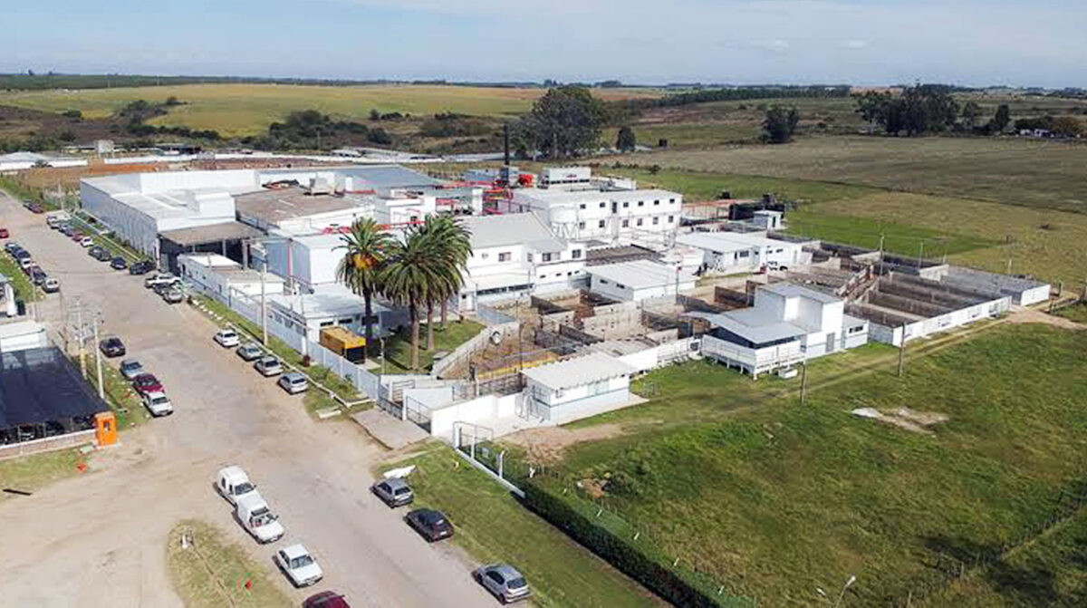 China rehabilita al Frigorífico Rosario para exportar carne
