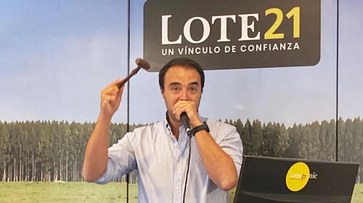 Destacada oferta consigna De María Agronegocios: remate 252 de Lote 21