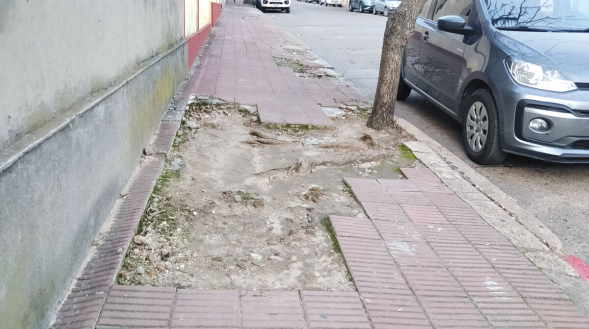 La Intendencia podrá reconstruir veredas rotas y cobrarle la obra al vecino