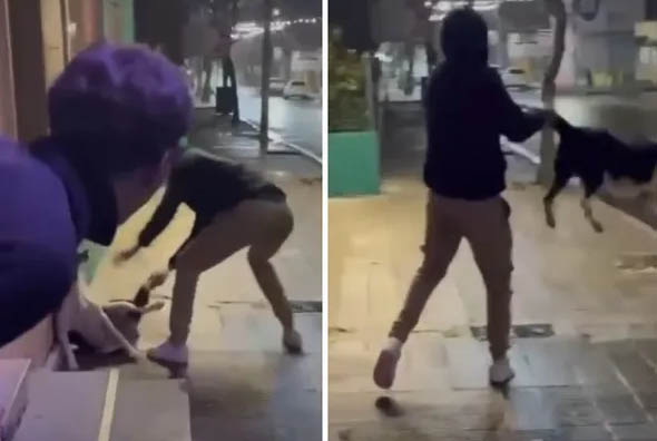 Denuncian presunto maltrato animal tras viralización de video en Guichón