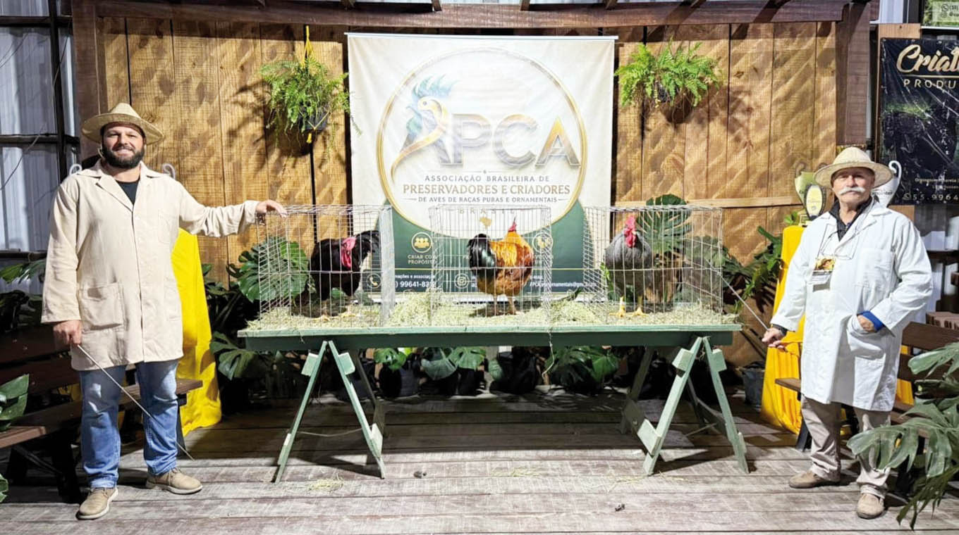 Comenzó Expo Inter de Esteio con sanduceros culminando su trabajo de calificación de aves