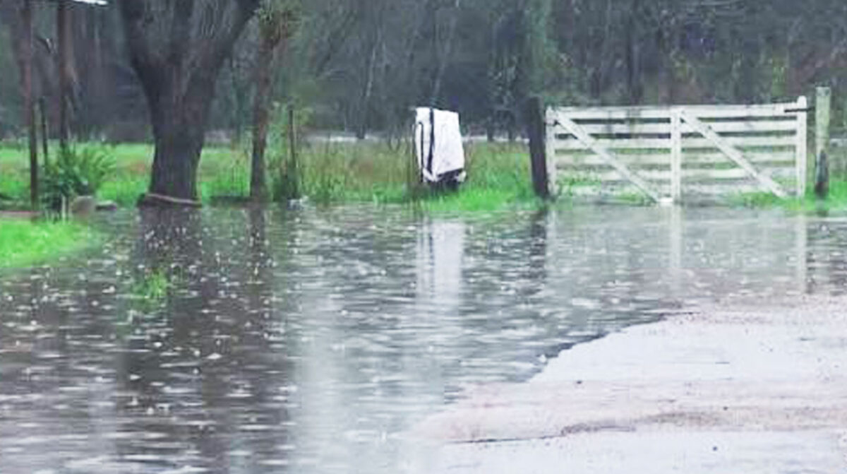 Zonas del norte, centro y Este del país tendrán durante las próximas semanas lluvias por encima de lo normal