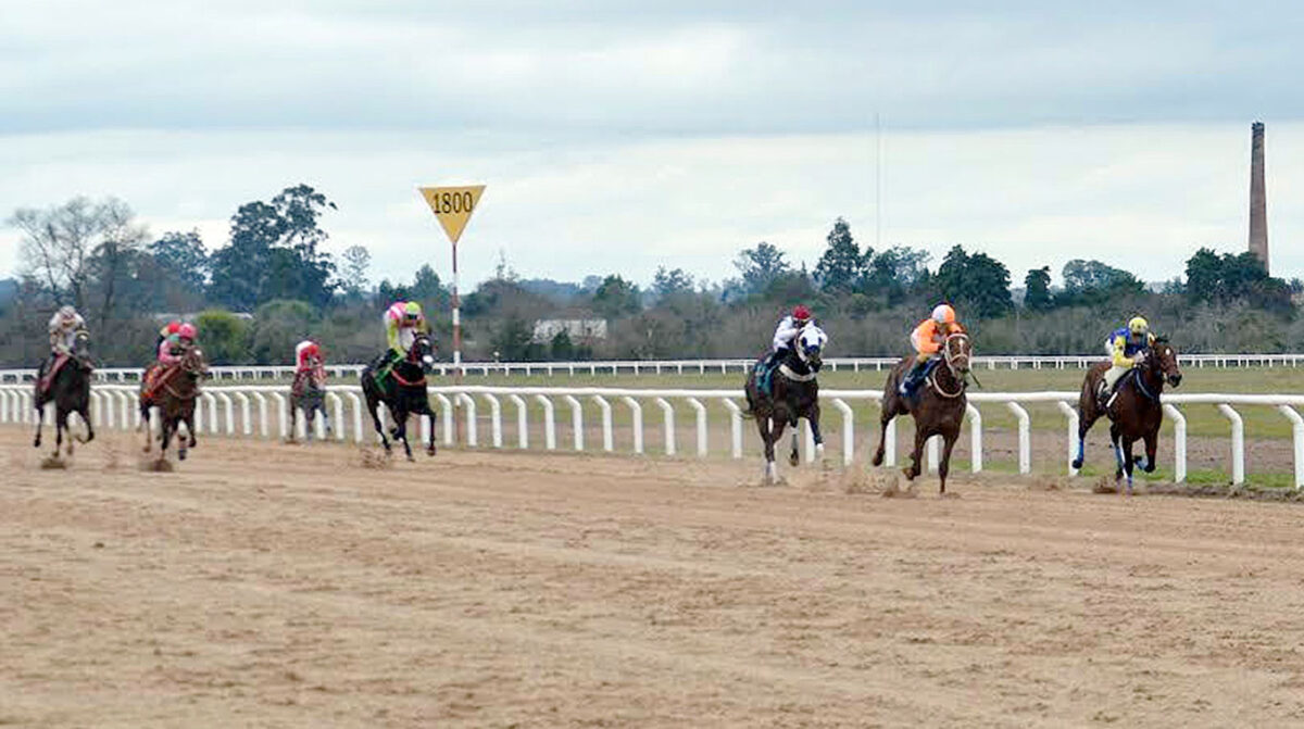 Vuelve el Turf esta tarde al Hipódromo de San Félix