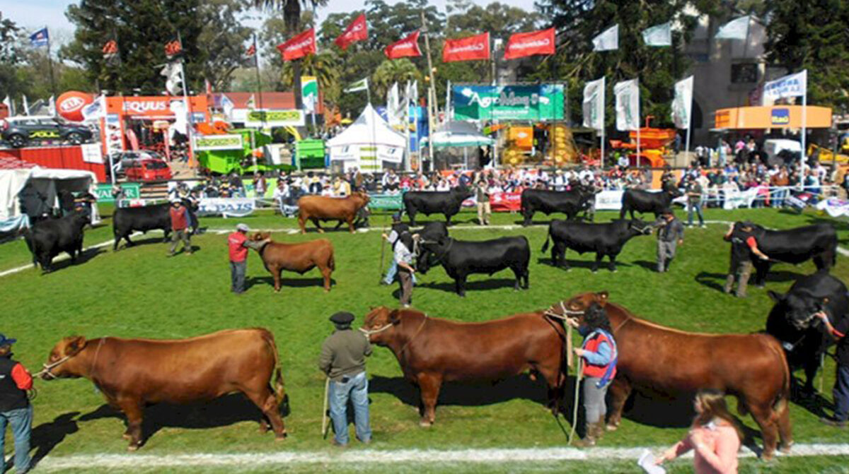 El viernes da comienzo la Expo Prado 2026