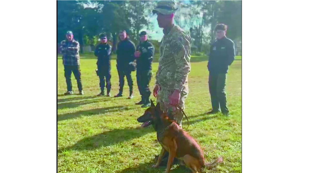 Paysandú reunió a equipos especializados en detección y trabajo con perros policiales
