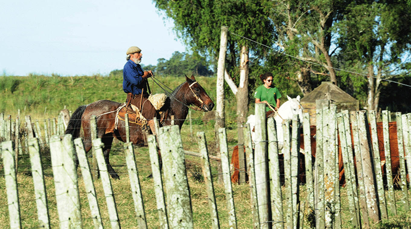 Paysandú entre los departamentos con mayor arrendamiento de tierras para uso agropecuario