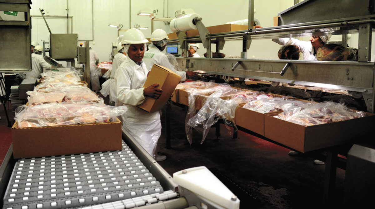A pesar de la garrapata, proyectan crecimiento de la exportación de carne vacuna en 2027