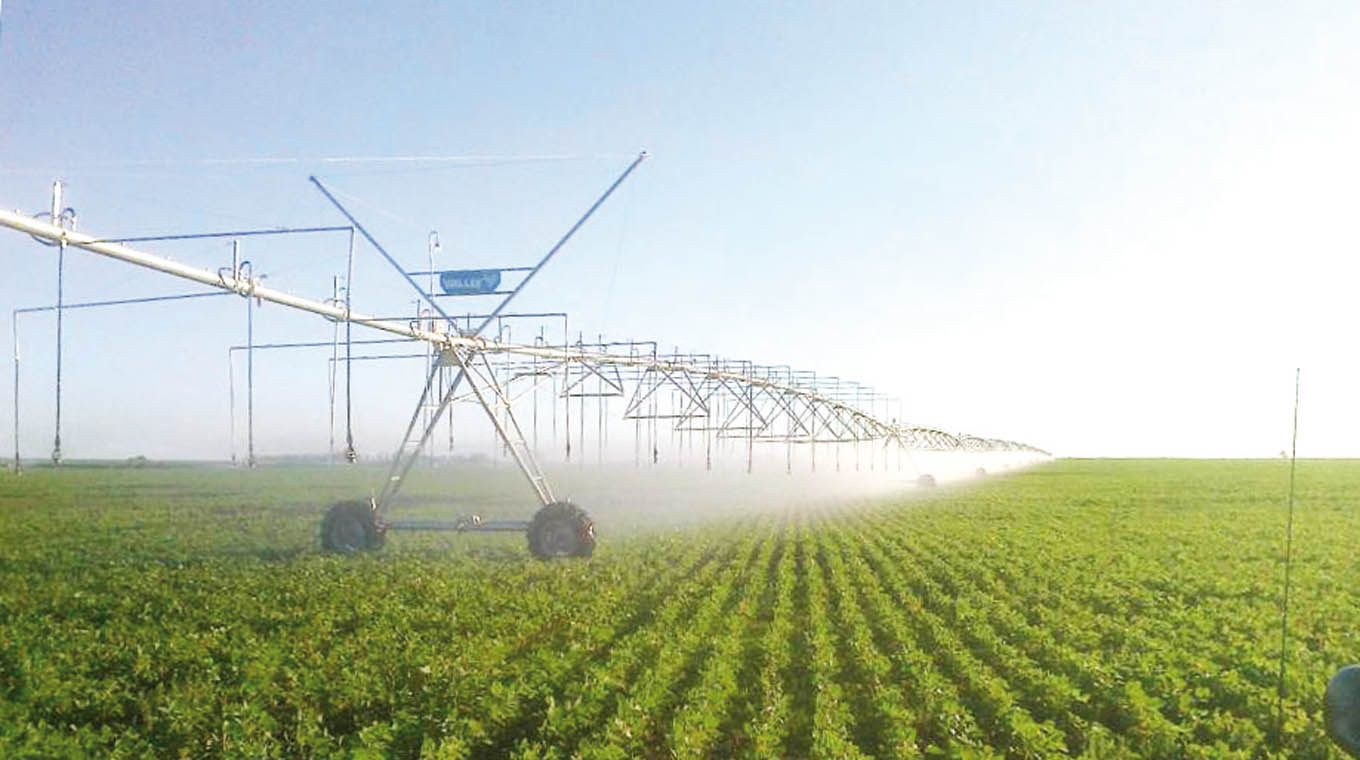 Política de apoyo al riego agropecuario, lineamientos y respuestas productiva