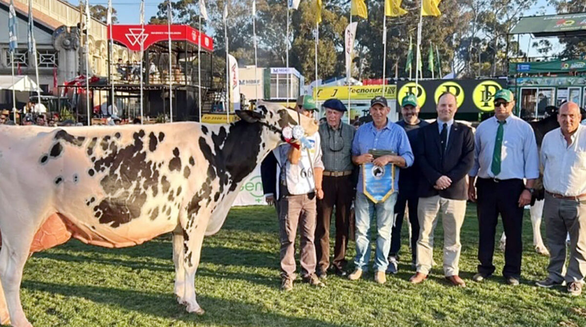 Lecheras: ganaron San Alberto en Holando, La Rosa Blanca en Jersey