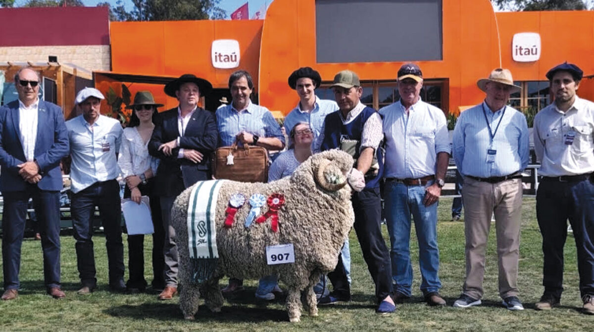 Se destacaron Merino de La Magdalena y El Arazá