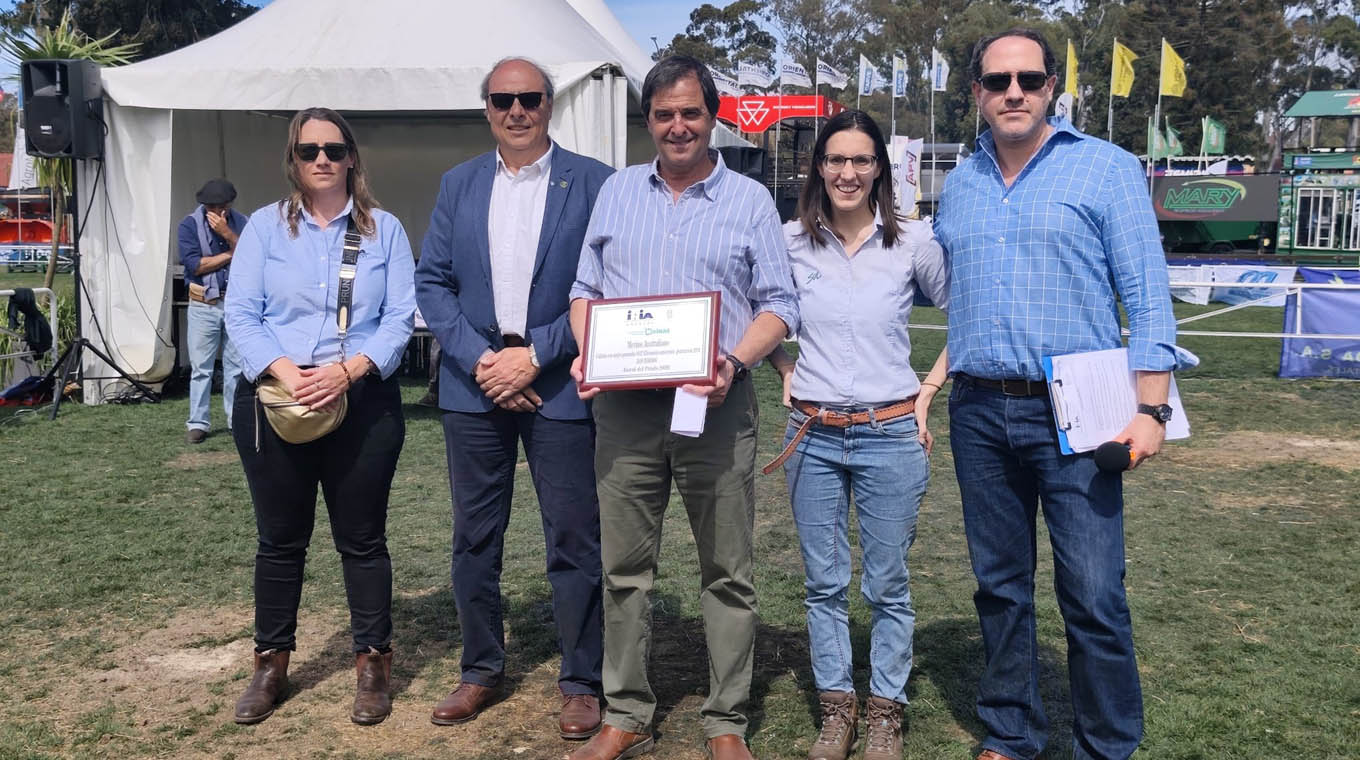 Reconocieron mejora genética de los cabañeros en el Merino Australiano