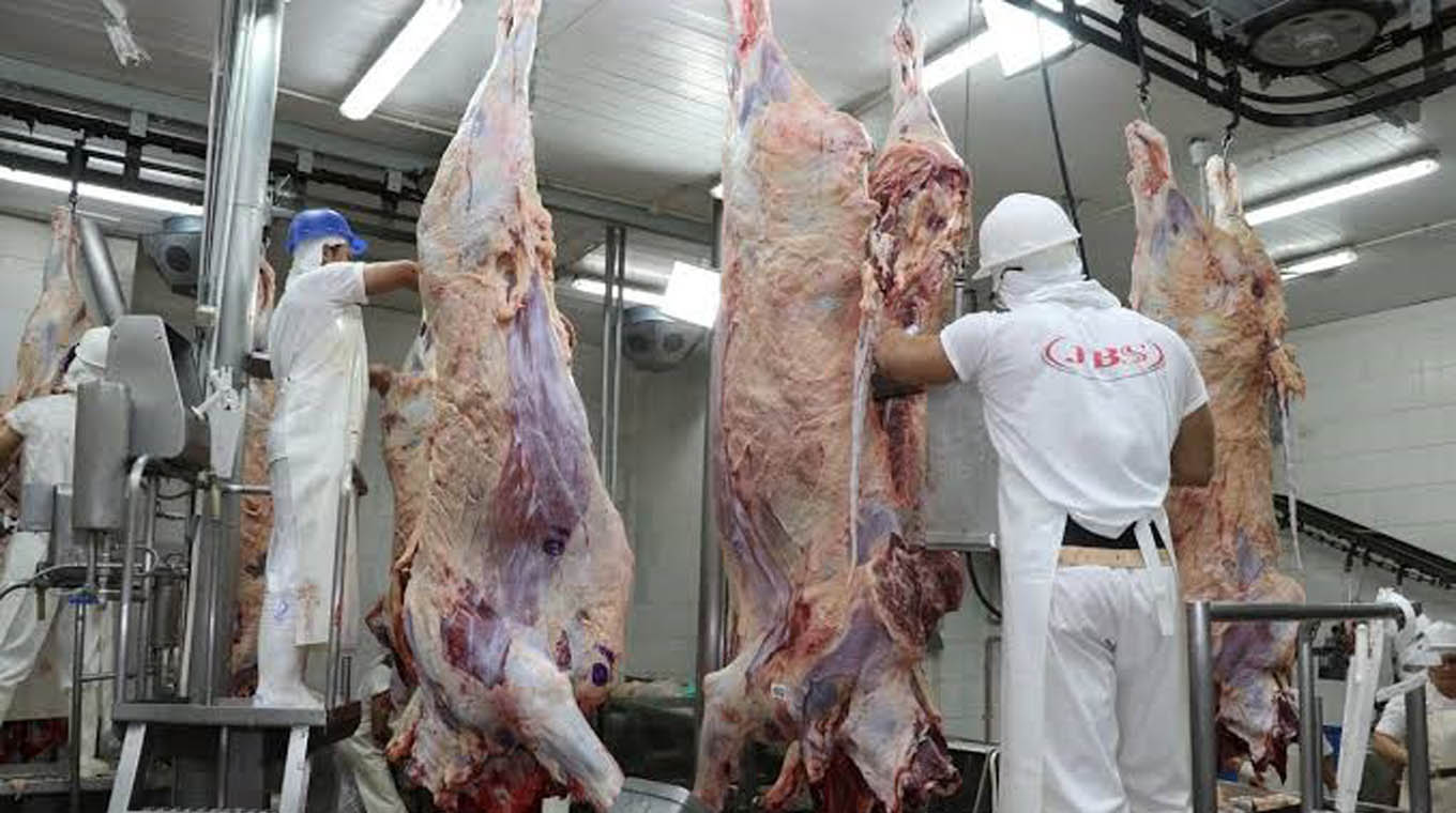 Mercado del ganado gordo con ajustes a la baja