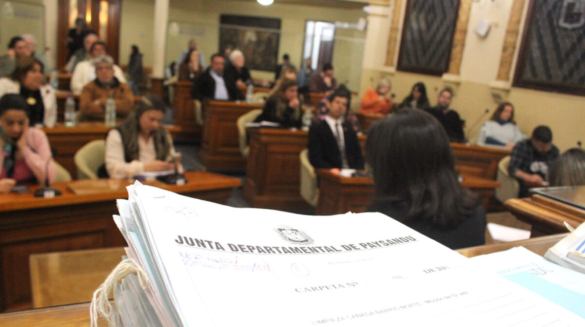 Ágil sesión de la Junta Departamental