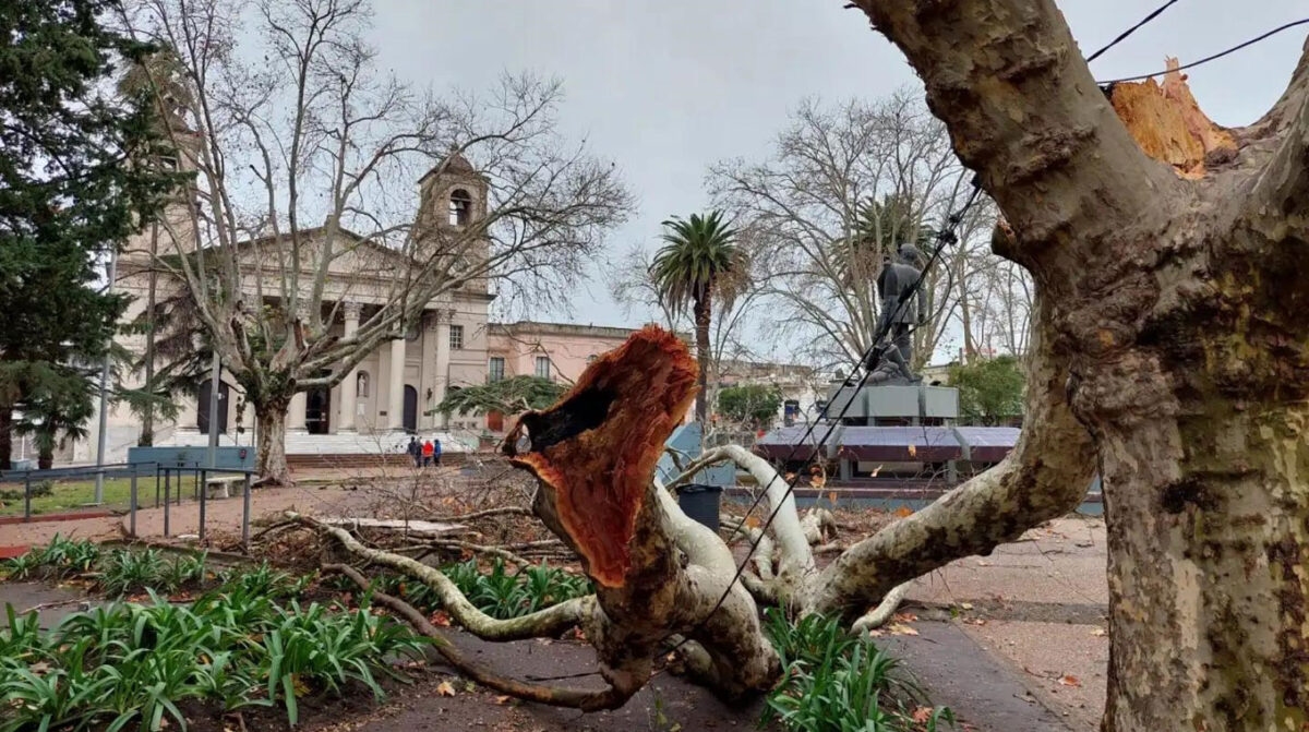 Tormentas fuertes previstas desde mañana podrían incluir granizo