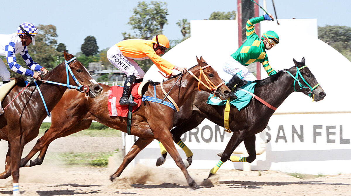 Brigdanz y Charming Ness ganaron los especiales en San Félix