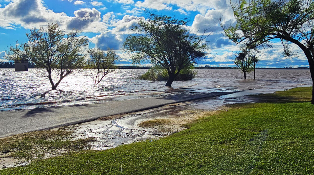 El río Uruguay subió más de un metro; estacionado en 3,72