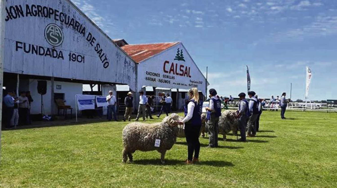 Comienza hoy la Expo Salto