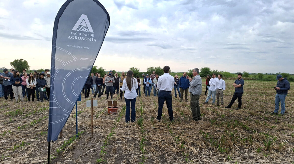 Presentaron el rediseño de sistemas de producción de leche de base pastoril